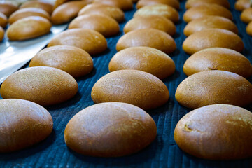 Freshly baked white-rye blend bread and country-style mixed grain bread at bakery oven outlet