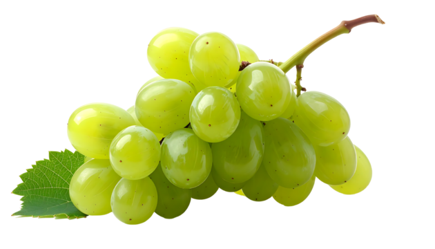 A bunch of fresh, green grapes with a stem and a single leaf, isolated on a white background transparent png