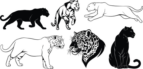 Panther leopard illustrations in silhouette, line art, geometric, and realistic styles showing walking, leaping, standing, seated, and headshot poses © Itz Joydip