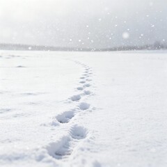 Fresh footprints being made in the snow during a cold winter snowfall. A close-up, atmospheric scene.