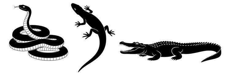 Striking collection of reptiles showcasing a coiled snake, sleek lizard, and powerful crocodile, perfect for nature enthusiasts and wildlife projects