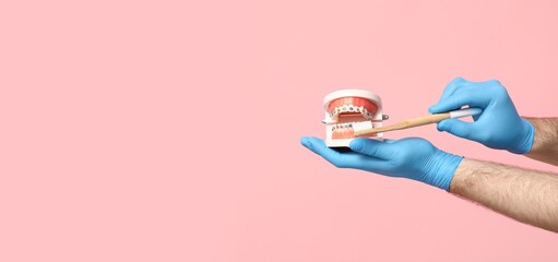 Dentist's hands holding toothbrush and jaw model with braces on pink background with space for text