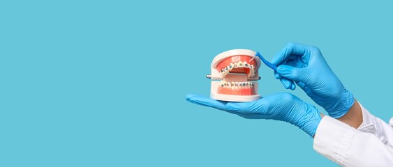 Dentist's hands holding brush and jaw model with braces on blue background with space for text