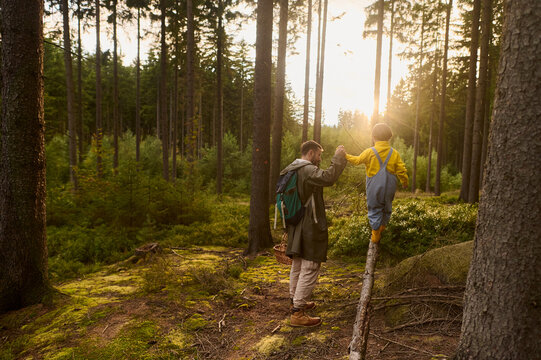 Father and son walking in the forest at sunset