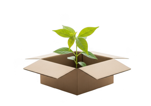 3d cardboard box with growing plant isolated on transparent background