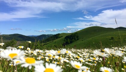 Spring meadow, hills, and sky