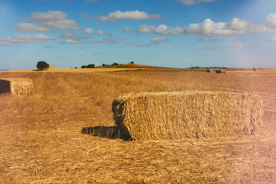 A day of walking in the countryside