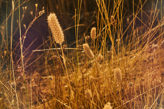 A day of walking in the countryside