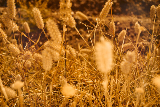 A day of walking in the countryside