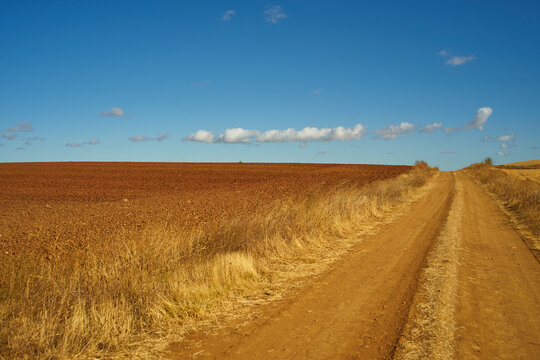 Beautiful landscape of a dry straw field in late summer