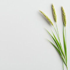 Fresh sprig of grass with soft sunlight highlighting its vibrant green color, showcasing nature beauty and tranquility