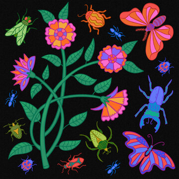 The Secret Garden of Insects- The Pollinators&rsquo; Dance