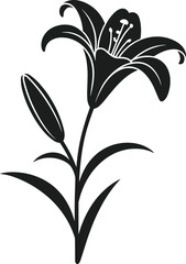 Black silhouette of a lily flower with bud and leaves on white background