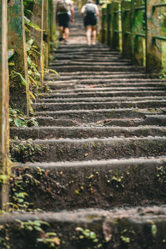 Old mossy stone stairs surrounded by lush tropical greenery leading to Benang Kelambu waterfall in Lombok, Indonesia. Perfect for nature, travel, and adventure themes.