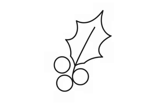 Holly sprig with sharp leaves and three berries, presented as a minimalist black line art icon on a transparent background