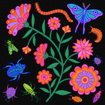 Insects of the Night Garden -The Pollinators&rsquo; Dance