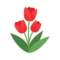 Red tulip flowers vector illustration. spring garden flora symbol. flat graphic design for nature, growth, botanical, and celebratory concepts on a white background.
