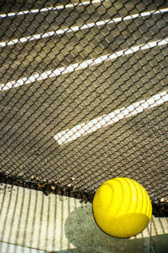 Yellow Ball and Fence