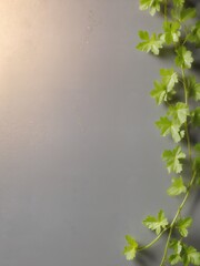 A soft, inviting background image featuring a warm, matte pewter grey texture with a hint of gold shimmer.