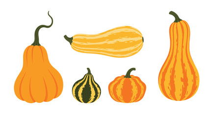 A vibrant collection of diverse autumn gourds and squashes, showcasing various shapes and striped patterns, isolated on a white background.
