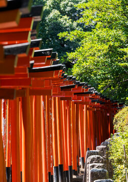Japanese Red Torii Gates