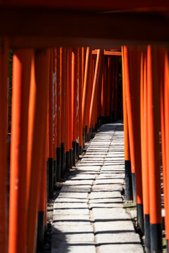 Stone Pathway Through Japanese Red Torii Gates