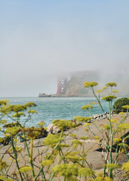 Foggy View of Golden Gate Bridge With Seagulls by the Water