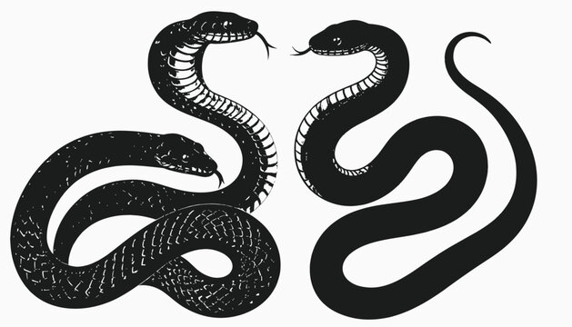 Two sleek, black serpent illustrations, each with forked tongues, set against a pristine white background