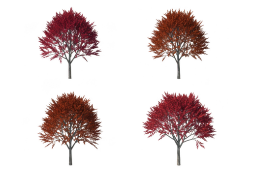 Four stylized trees with red and brown leaves on a black background