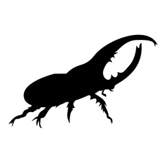 Rhinoceros Beetle Silhouette 