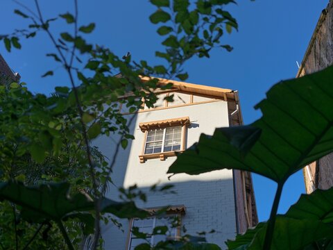Urban House in Sydney suburbs  Framed by Greenery Under Clear Blue Sky
