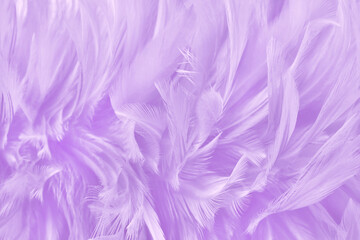 Purple pastel color bird feather pattern texture for background and design.