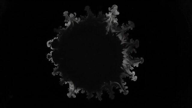 A grayscale, ink-like, circular shape with a textured, flowing border against a black backdrop