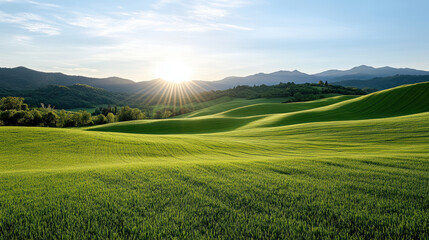 Obraz premium Lush green hills bathed in warm sunlight create serene landscape at sunset