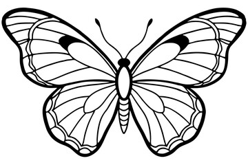 Beautiful Butterfly Insect Line Art Drawing Vector