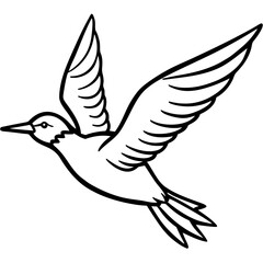 Black and White Line Drawing of a Bird in Flight
