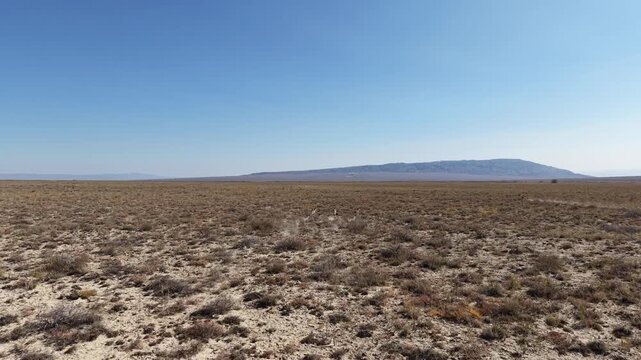 Aerial Drone Footage of Running Wild Argali Sheep in Altyn Emel National Park