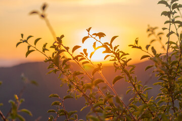 Atmospheric abstract photograph of a sunset over the natural landscapes of Bosnia and Herzegovina....