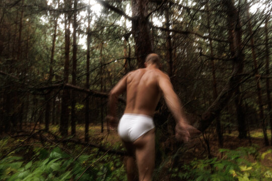 Walking Alone in Nature Forest