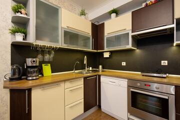 Kitchen interior. Kitchen set in the apartment. Cabinets, oven, dishwasher, sink and kitchen appliances. Houseplants on the shelves. Electric kettle and coffee maker on the countertop.