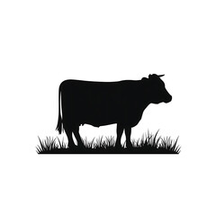 Illustration of modern city buildings isolated on white background