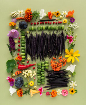An autumnal arrangement of flowers, fruits, and vegetables