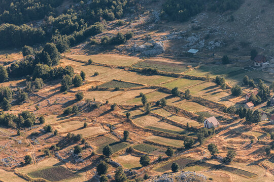 Countryside Fields at Lovcen Foothills
