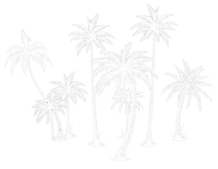 set of silhouettes of plants