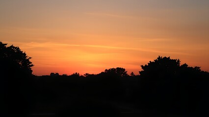 greenspace. Sunset over urban greenspace with tree silhouettes, portraying peaceful twilight in the city. inspiring travel planning, travel magazines, designed for travel destination branding.