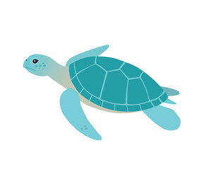 Turtle.Flat design