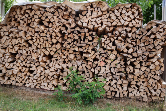 Stacked logs under a tarpaulin