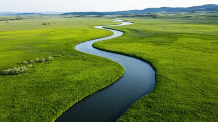 Naklejka premium Sustainability resources policy concept. Winding river flows through a lush green landscape under a clear sky.