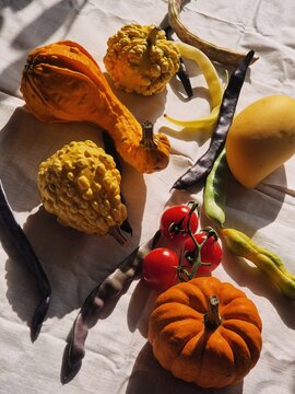 Colorful array of fresh vegetables on a surface