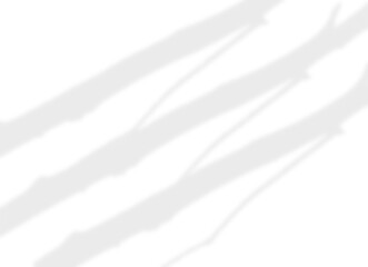 Minimal Abstract Branch Shadow Overlay